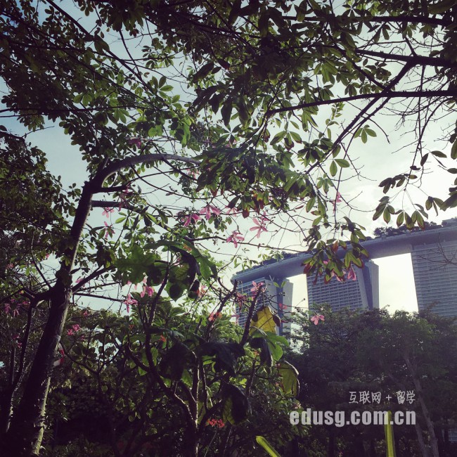 新加坡留学陪读签证怎么办理