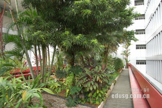 �¼���mdisѧԺ��ѧ��Ҫʲô����