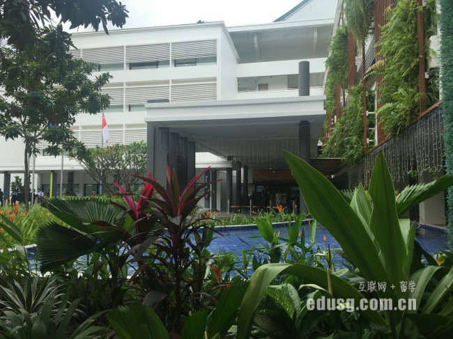 新加坡留学IT专业申请要求