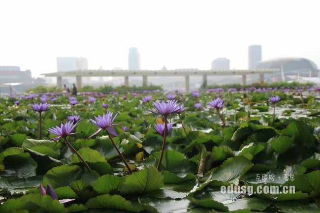 �߿����ȥ������ѧ����