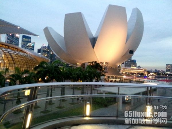 新加坡美术学院排名