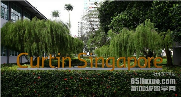 curtin新加坡大学排名