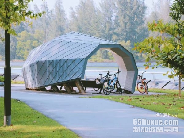 �¼��¿�͢��ѧ��ýѧ