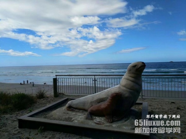 新西兰高中的费用多少