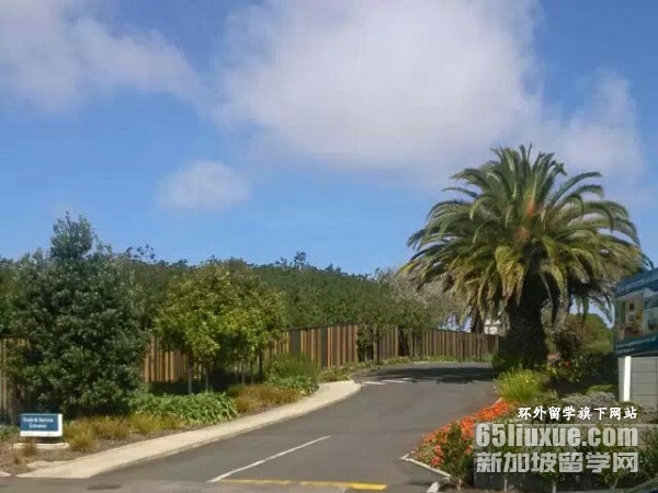 新西兰高中的费用多少