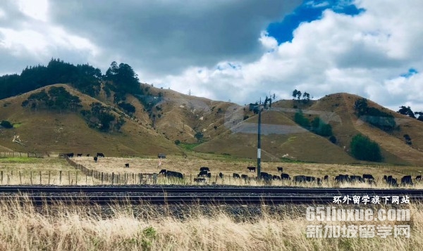 �������ѧ��ҽѧרҵ