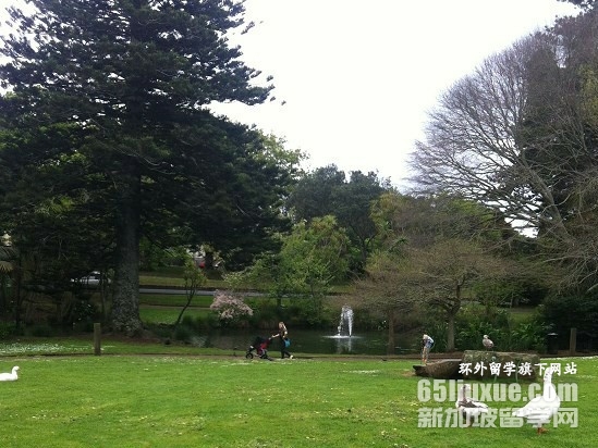 奥塔哥理工学院在哪