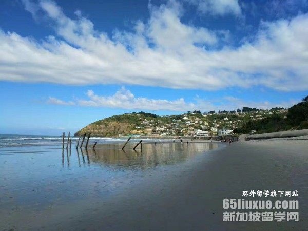 ����������ѧԺ��ѧרҵ