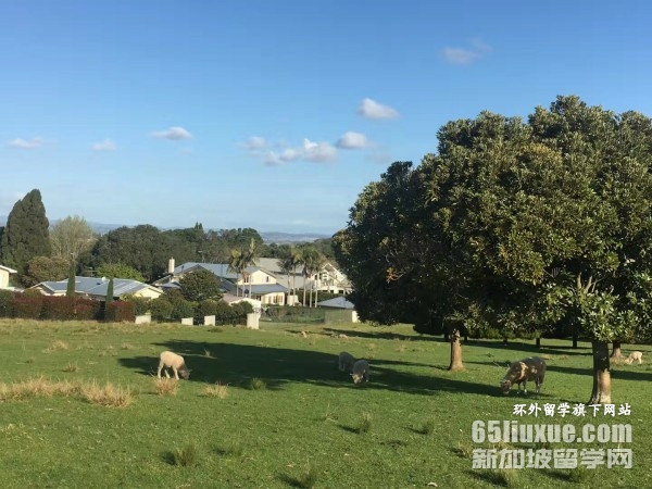 梅西大学研究生学费