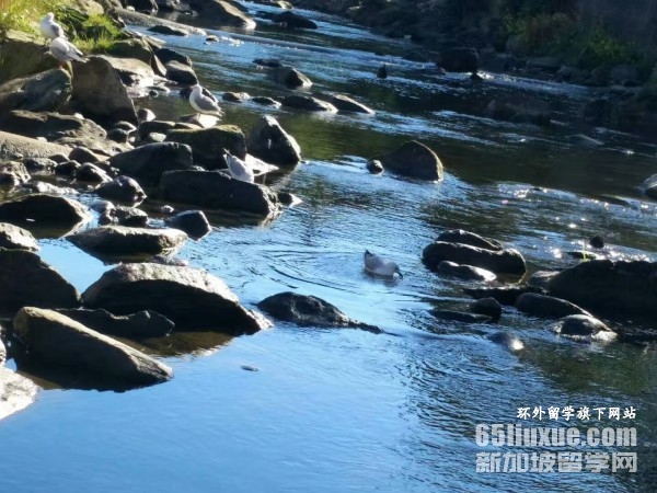新西兰奥塔哥大学留学