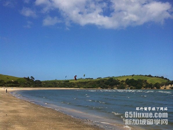 新西兰化学硕士