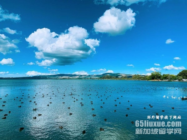 ������������ѧ��ѧ��˼Ҫ��