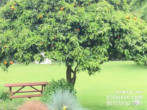 �������ѧ��ҽѧԺ