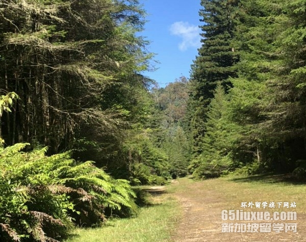 ������������ѧ