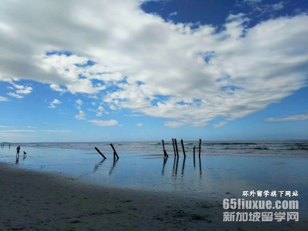 ������������ѧ����רҵ