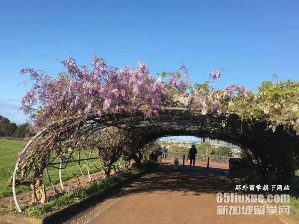 新西兰动漫设计硕士