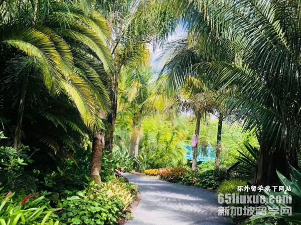 �������¿���������ѧ��������