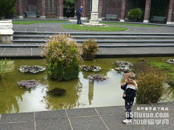 ���������н�ѧ��