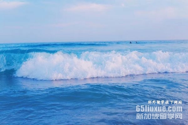 澳洲留学生申请研究生
