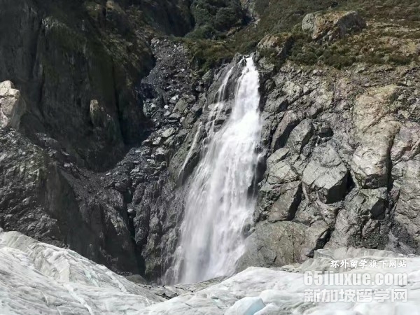 新西兰医学专业