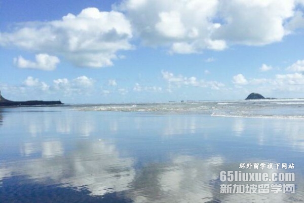 ��ѧ��������Ҫ���ٷ���