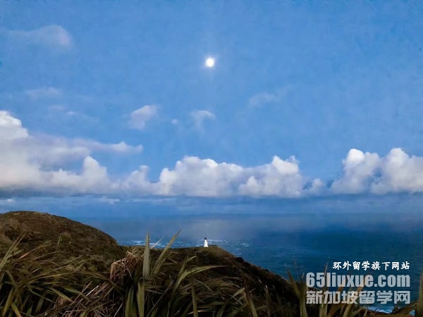 去新西兰留学一年的费用