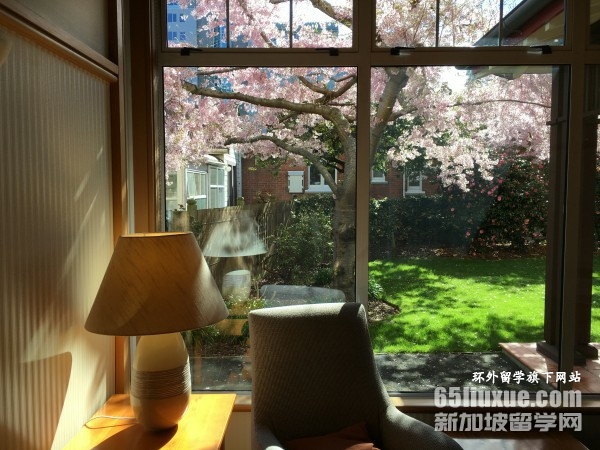 去新西兰留学一年的费用