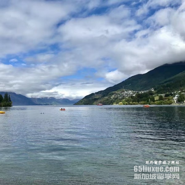 ������Ӫ��ѧ�о�����������