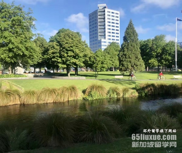 ��������ר����