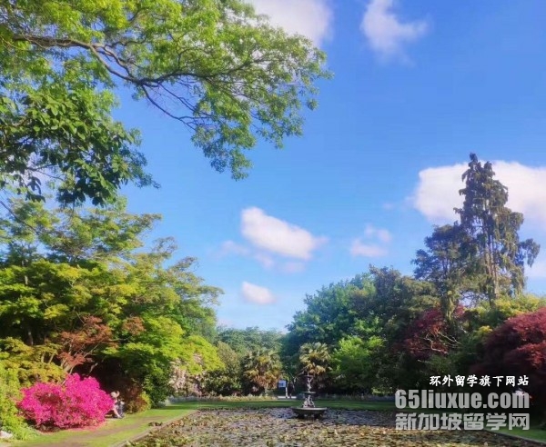 新西兰梅西大学留学条件