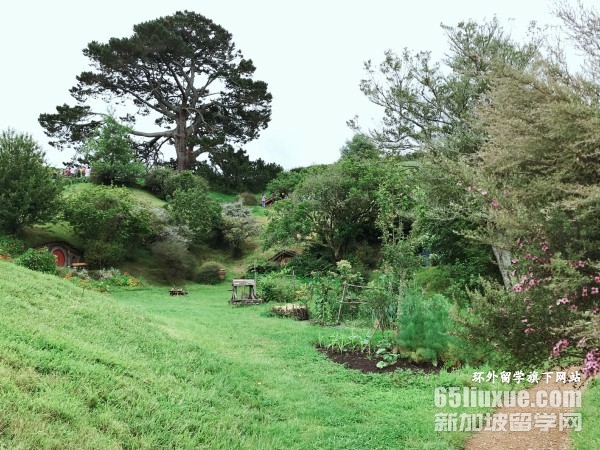 �������廭רҵ�о���