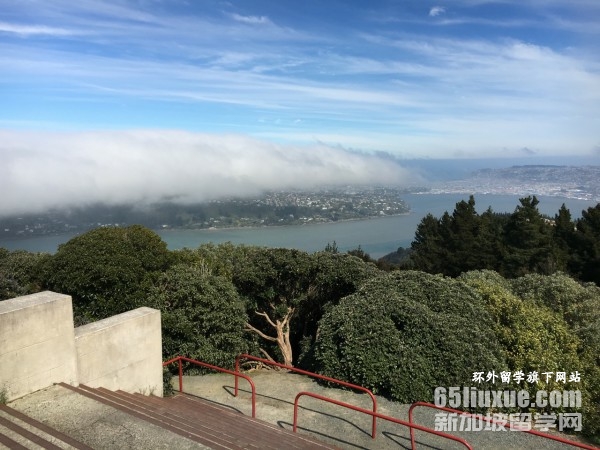 新西兰留学时装设计专业