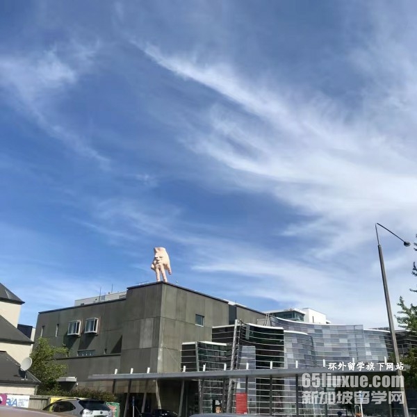 新西兰留学兽医硕士