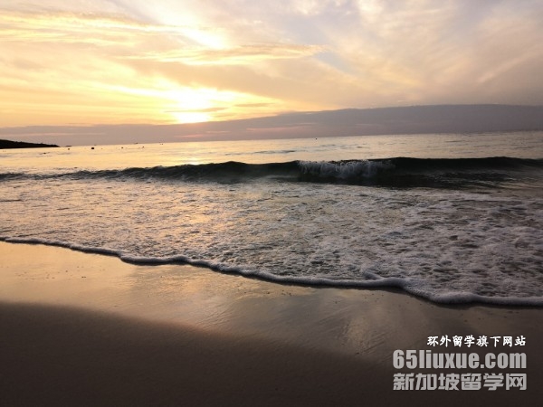 ̩�����ִ�ѧ�о�������