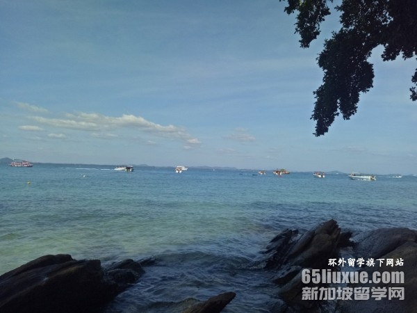 ������ѧ������ѧ����