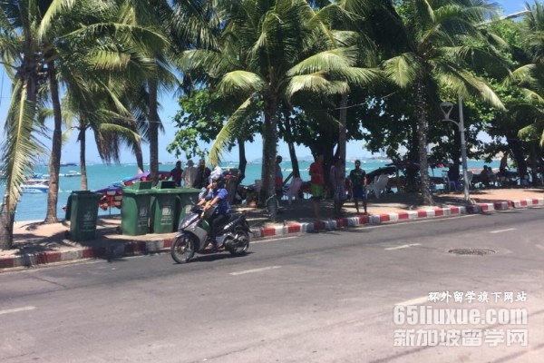 ̩���ʼҴ�ѧѧ��