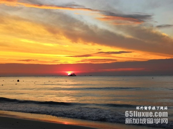 ̩�������ִ�ѧȫ������