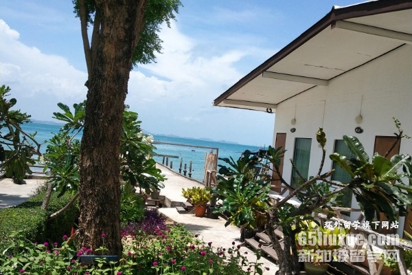 ̩��������¡������