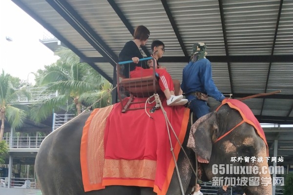 泰国法政大学怎样