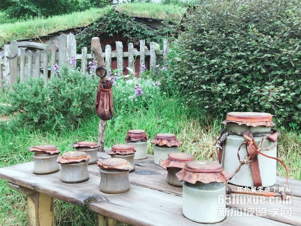 新西兰理工学院申请条件