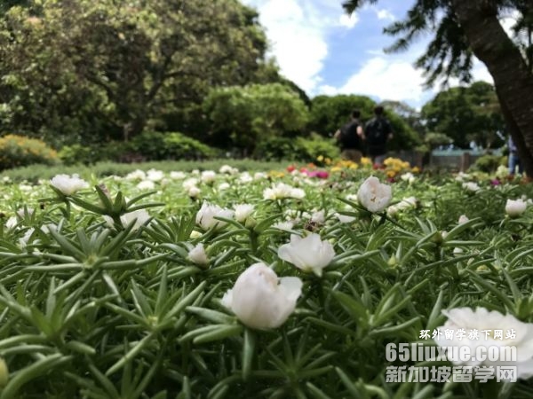 澳大利亚高中留学申请
