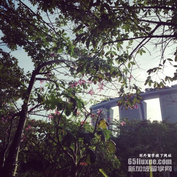 �¼�����ѧ�о�������Ҫ��