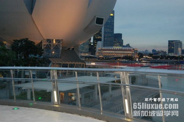 2025新加坡大学本科申请条件