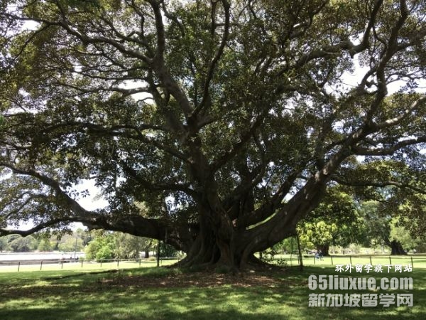 ȥ�Ĵ�������ѧ����