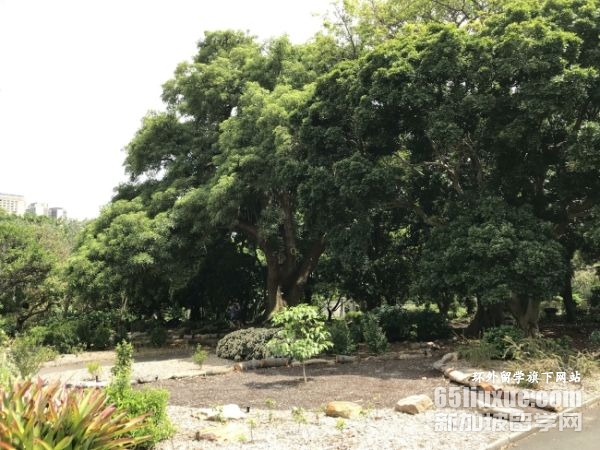 �Ĵ����ǻ���˶ʿ