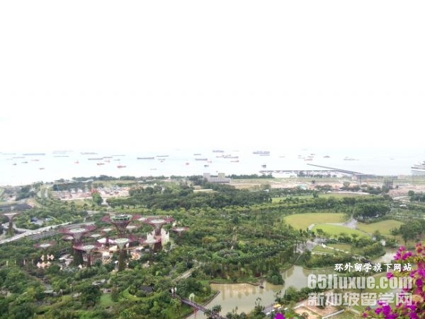 新加坡可读研的大学