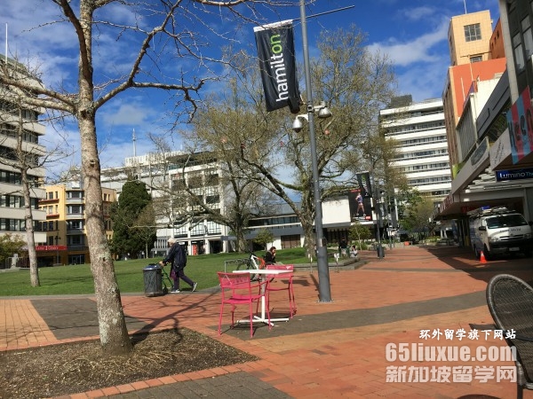 新西兰留学幼教专业本科