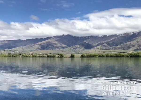 新西兰护理专业留学学费