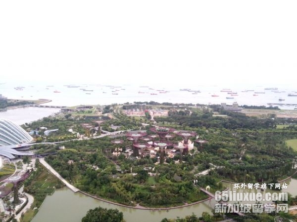 新加坡私立大学金融学硕士