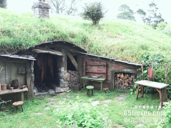 新西兰留学医学专业